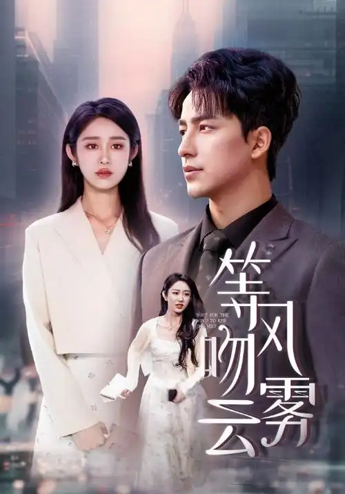 电视剧封面：破晓之光